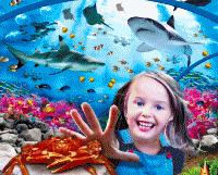 Oberhausen SEA LIFE Centre Child Ticket