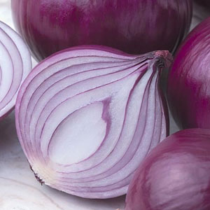 Onion Seed Bulb F1 Kamal