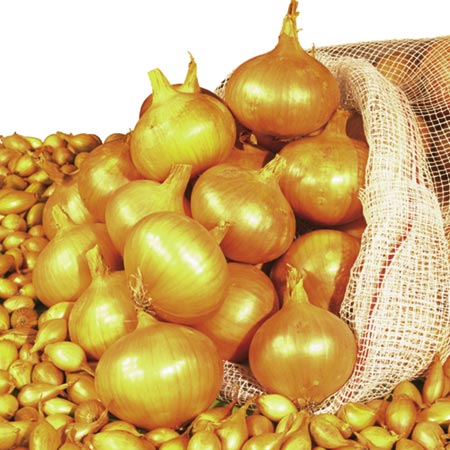 Unbranded Onion Sets Heat Treated Setton (400g Pack) 400g