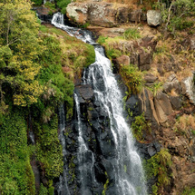 Unbranded OReillys and Lamington National Park -