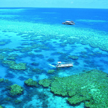 Unbranded Outer Barrier Reef Adventure - Child (staying in