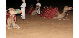 Explore the Dubai Desert Conservation Reserve in a legendary 1950s Land Rover and watch a falcon demonstration before you enjoy dinner under the stars.