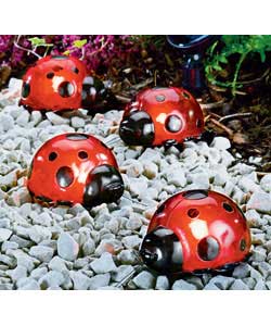 Unbranded Pack of 4 Ladybird Solar Lights