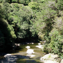 Unbranded Palliser Bay and Lord of the Rings Day Tour - Adult