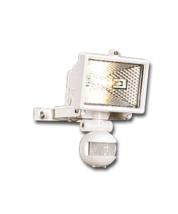 Pan &Tilt Floodlight