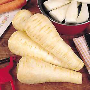 Unbranded Parsnip Panache F1 Hybrid Seeds