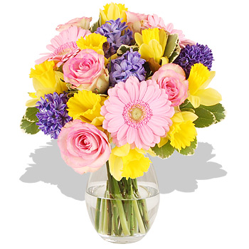 Unbranded Pastel Pretty - flowers