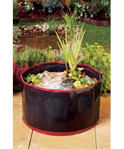Pop-Up Pond