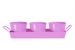 Unbranded Pots on a tray - pink