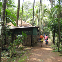 Unbranded PRIVATE TOUR - Spice Plantation Tour - South Goa