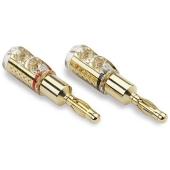 Qunex Screwloc 4 X 4mm Banana Plugs