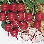Unbranded Radish Cherry Belle Seeds 438282.htm