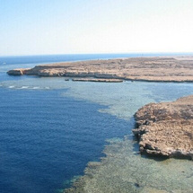 Ras Mohamed National Park - Adult