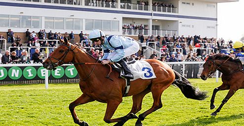 Unbranded Redknapp at the Races at Windsor Racecourse - 12