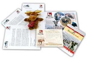 Unbranded Rudolf Friends Reindeer Adoption