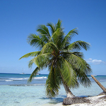 Unbranded Saona Island Catamaran Cruise - Child ex Punta Cana