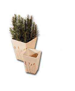 Set of 2 Stalk Motif Planters