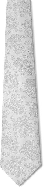 Silver Paisley Tie