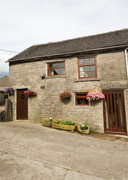 Unbranded Stable Barn