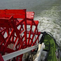 Unbranded Steamboat Natchez Harbor Cruise - Adult - Cruise