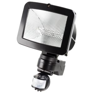 Taurus Security Floodlight