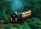 The gleaming carriages of the British Pullman adorned in umber and cream livery wait as stewards, in