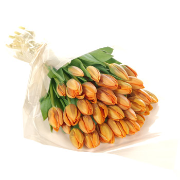 Unbranded Thirty Orange Tulips - flowers