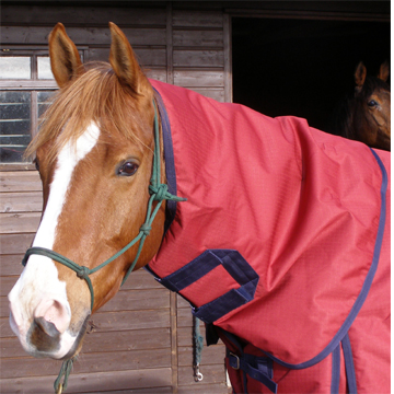 Turn Out Neck Rug - Matching - Endorsed by Scu