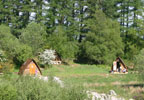 Unbranded Two Night Break in a Wigwam at Gorsebank