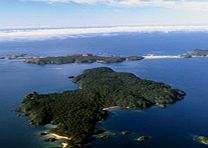 Unbranded Ulva Island - Beautiful Birding and Botany - Child