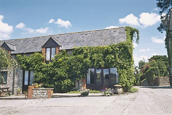 Unbranded Violet Cottage