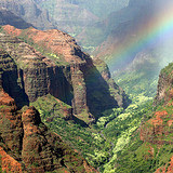 Unbranded Waimea Canyon and Wailua River Tour - Adult