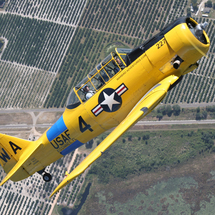 Warbird Adventure Flight - 15-Minute Flight