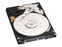 Unbranded WD Scorpio WD2500BEVS - hard drive - 250 GB - SATA-150