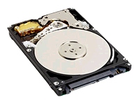 Unbranded WD Scorpio WD800BEVS - hard drive - 80 GB - SATA-150