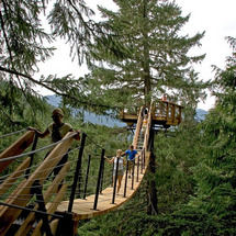 Whistler Tree Trek - Adult