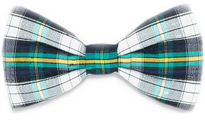 Unbranded White Green Tartan Bow Tie - Dress Gordon