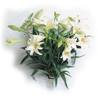 White Lilies bouquet