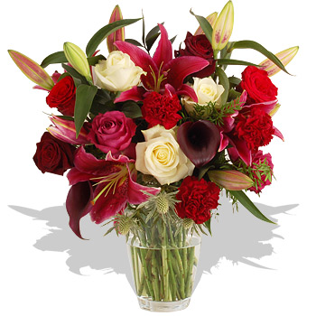 Unbranded Winter Claret - flowers