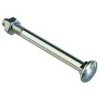 Zinc Coach Bolt M10 X 100 With Nut