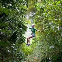 Unbranded Zipline Canopy from Ocho Rios - Adult