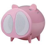 USB Radio Pig