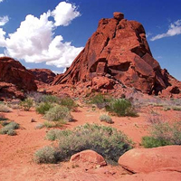 Valley of Fire Pink Jeep Tours - Valley of Fire