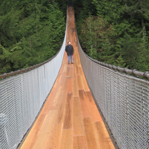 Vancouver City Tour and Capilano Suspension