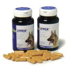 Lypex Capsules