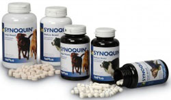 Synoquin Medium Breed (Dogs 10-25KG):120sprinkle