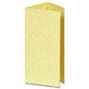 DECAdry Tri-Fold Brochure-Gold