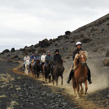 Viking Horse Ride plus the Golden Circle - Adult