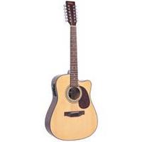 12 String Solid-T Elec-Acoustic