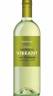 Waitrose Cellar Waitrose Vibrant And Grassy Chilean White Nv